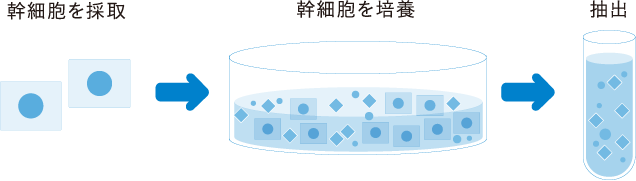 ヒト幹細胞由来培養上清